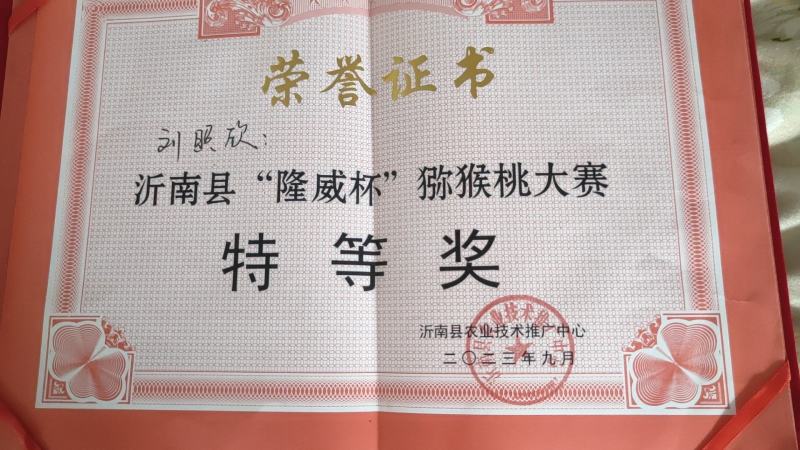 碧玉猕猴桃