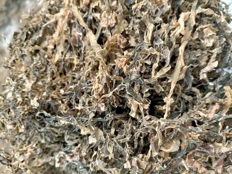 精品梅干菜，货源充足，供应全国，欢迎采购
