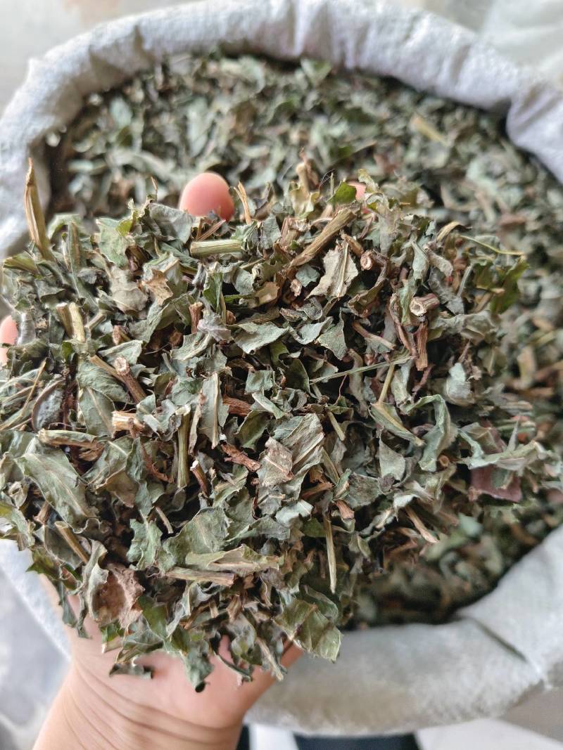 北败酱草，无硫新鲜草药晒干，产地一手货源当年新货