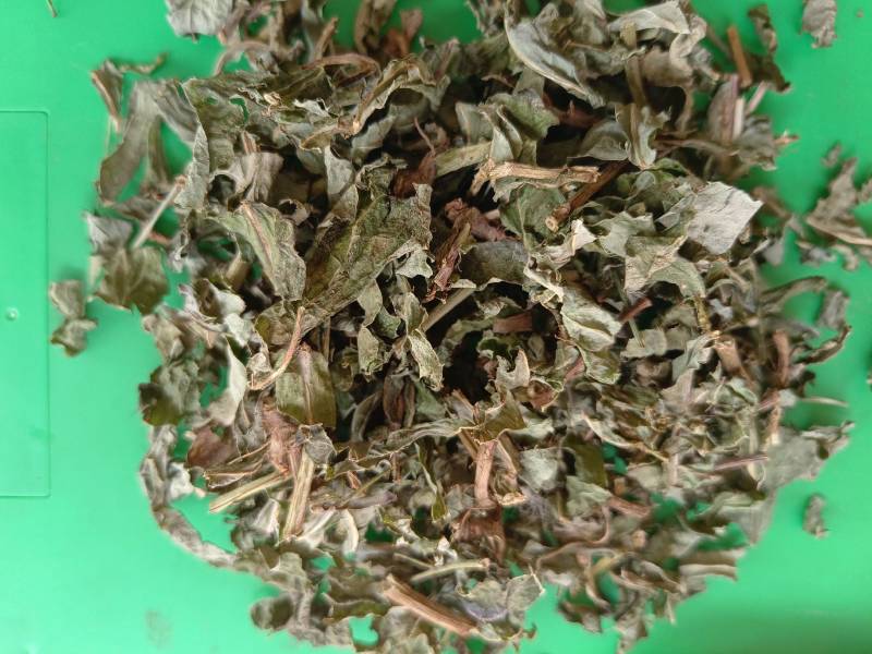 北败酱草，无硫新鲜草药晒干，产地一手货源当年新货