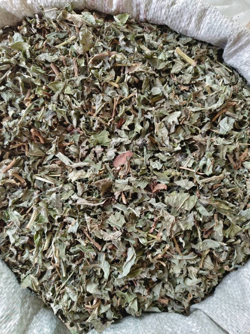 北败酱草，无硫新鲜草药晒干，产地一手货源当年新货