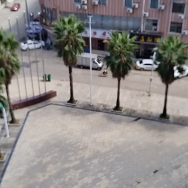 银杏果