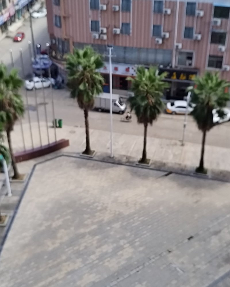 银杏果