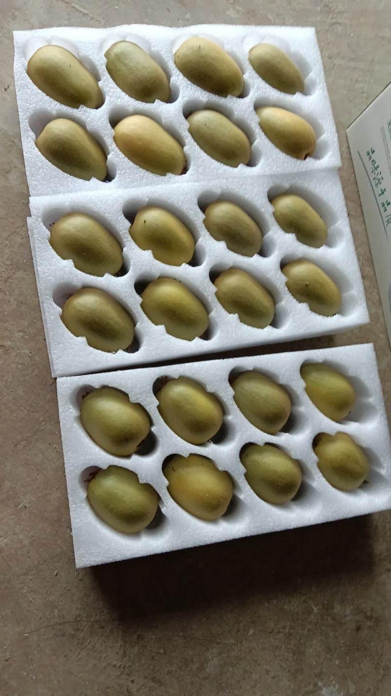 红心猕猴桃