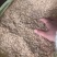 广西压缩稻壳/打包稻壳