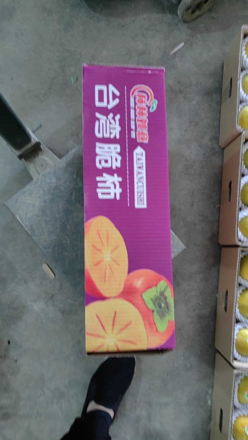 山西柿子，珠柿，吊红，七月黄，火晶柿，阳丰脆柿，火罐，品种全