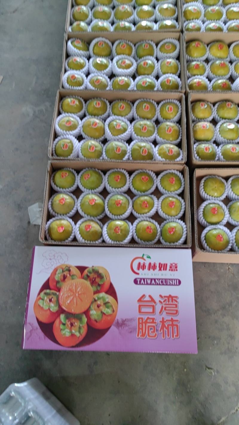 山西柿子，珠柿，吊红，七月黄，火晶柿，阳丰脆柿，火罐，品种全