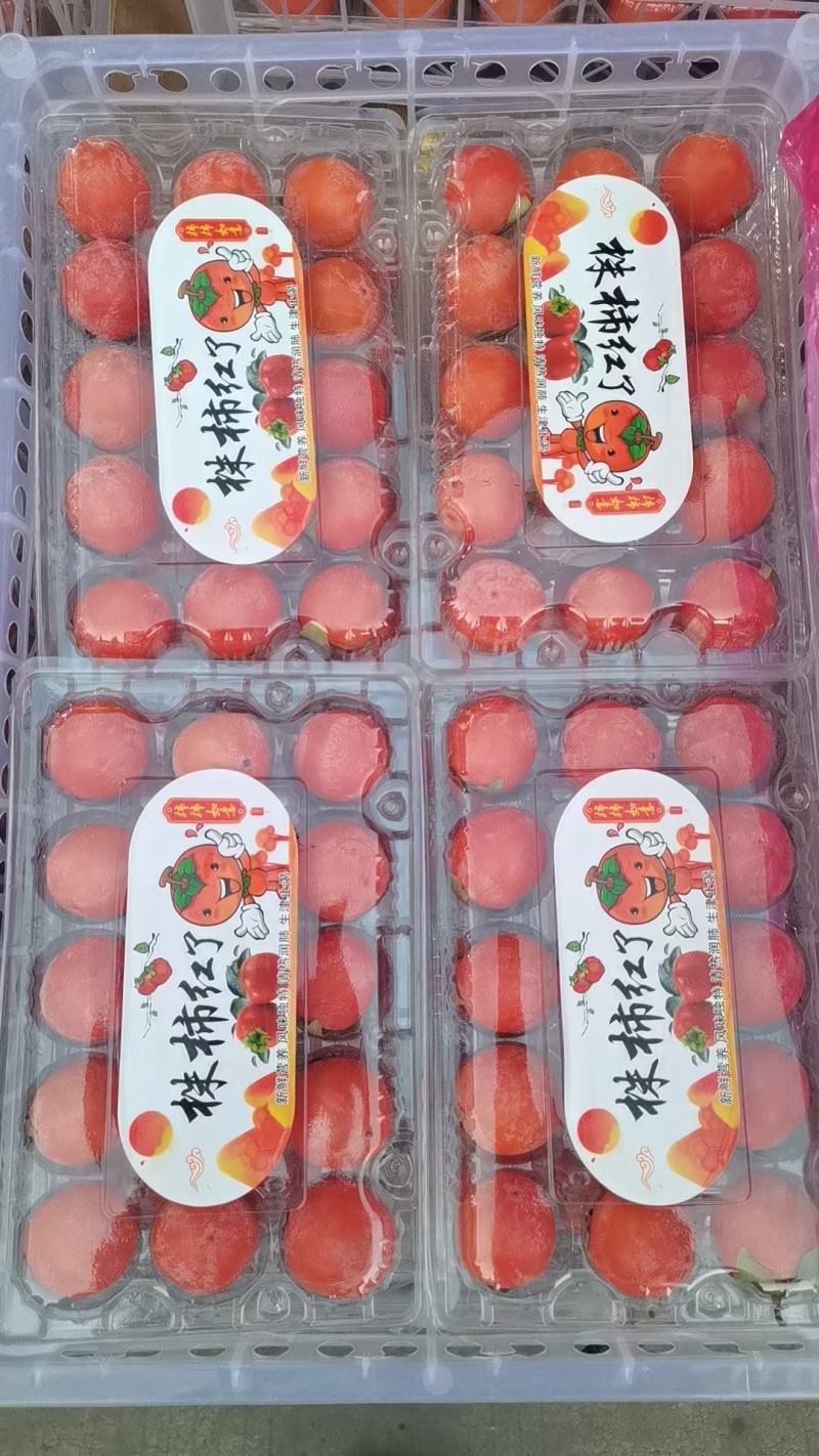 山西柿子，珠柿，吊红，七月黄，火晶柿，阳丰脆柿，火罐，品种全