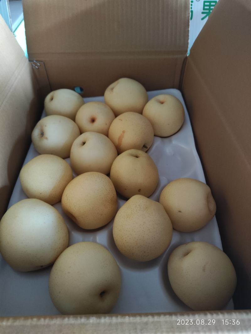 沃集鲜精品60四层带把皇冠梨