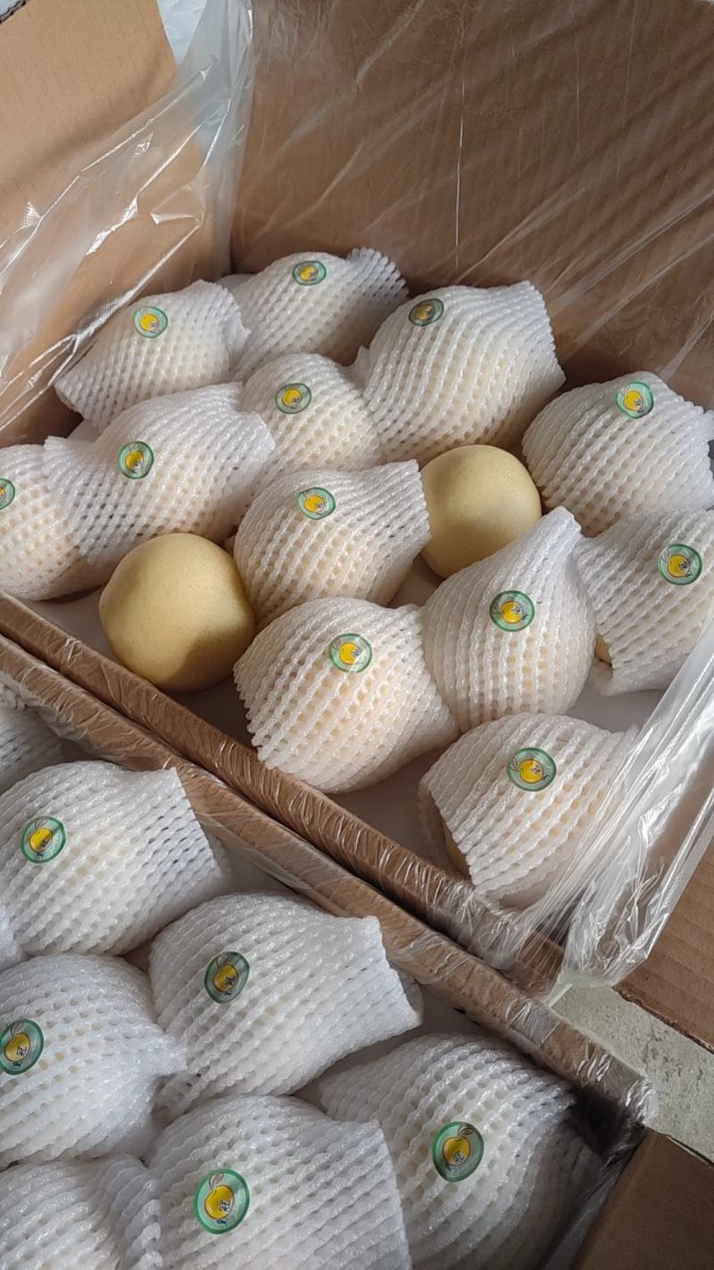 沃集鲜精品60四层带把皇冠梨