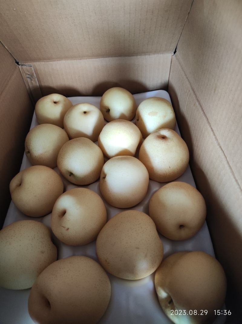 沃集鲜精品60四层带把皇冠梨