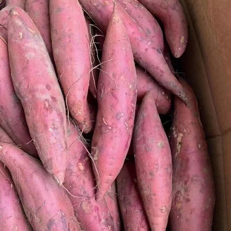 西瓜红蜜薯产地直发量大从优商超市场电商