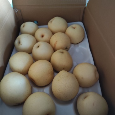 沃集鲜精品60四层带把皇冠梨