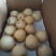 沃集鲜精品60四层带把皇冠梨