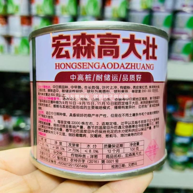 宏森高大壮洋葱种子紫红皮洋葱种子中高桩口感脆甜辣味适中