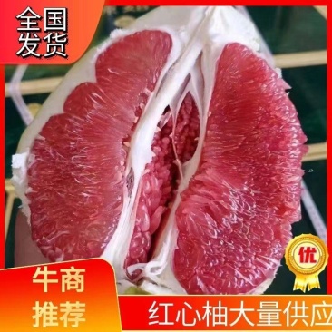 湖北柚子红柚白柚产区货源一手货果园直采可视频看货
