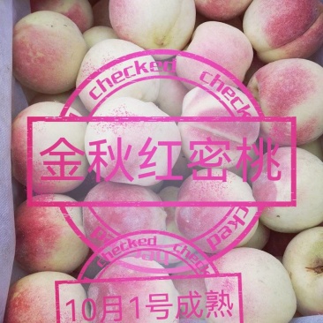 金秋红蜜桃