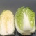 东北黄心大白菜