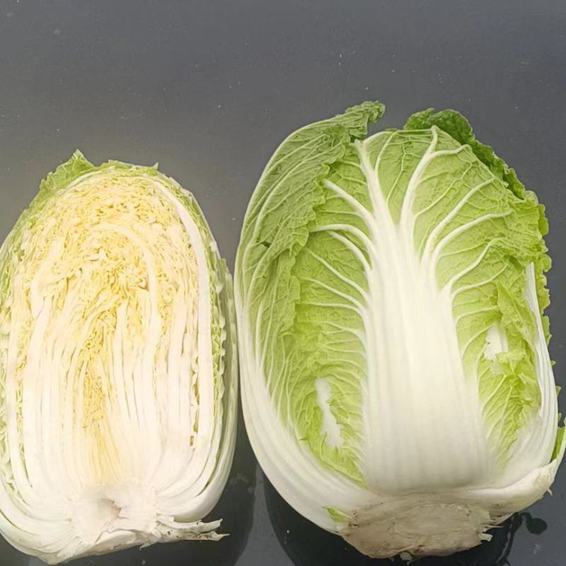 东北黄心大白菜