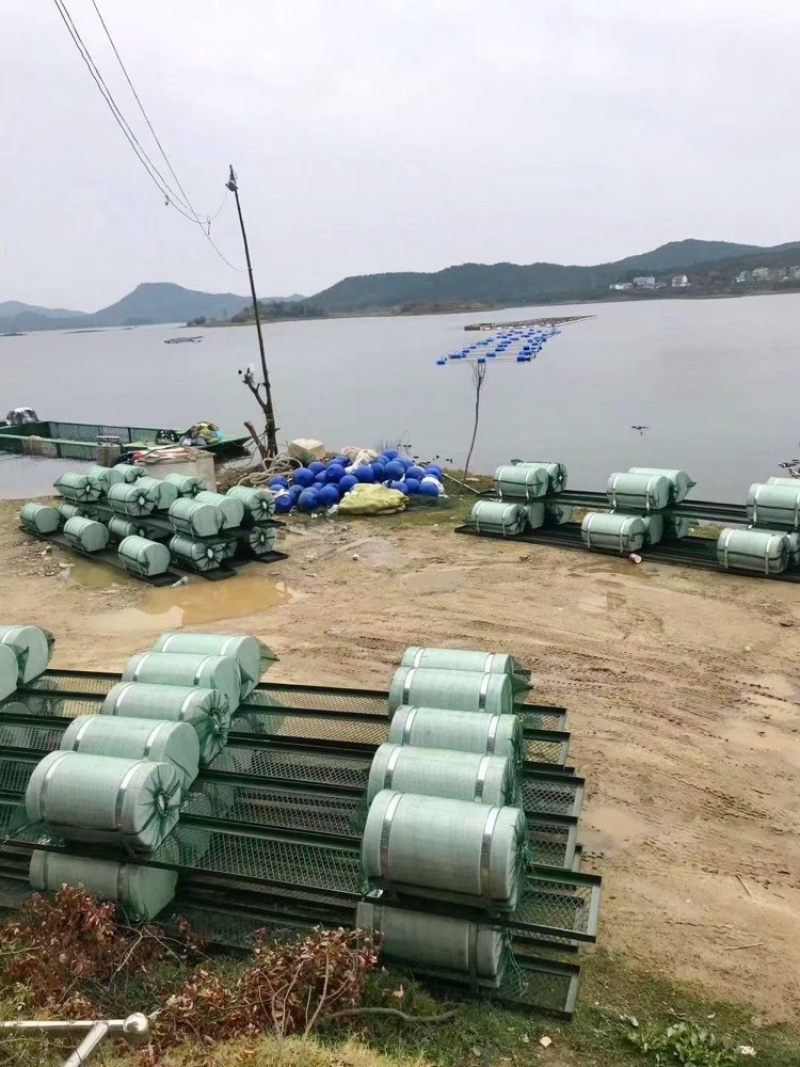 钢结构网箱水上平台大浮筒水上养殖网箱鱼蛙共养