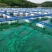 钢结构网箱水上平台大浮筒水上养殖网箱鱼蛙共养