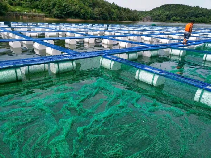 钢结构网箱水上平台大浮筒水上养殖网箱鱼蛙共养