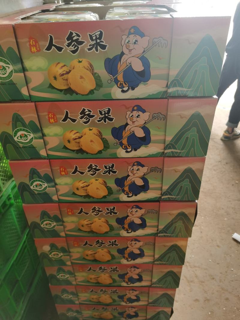 云南石林人参果产地直销