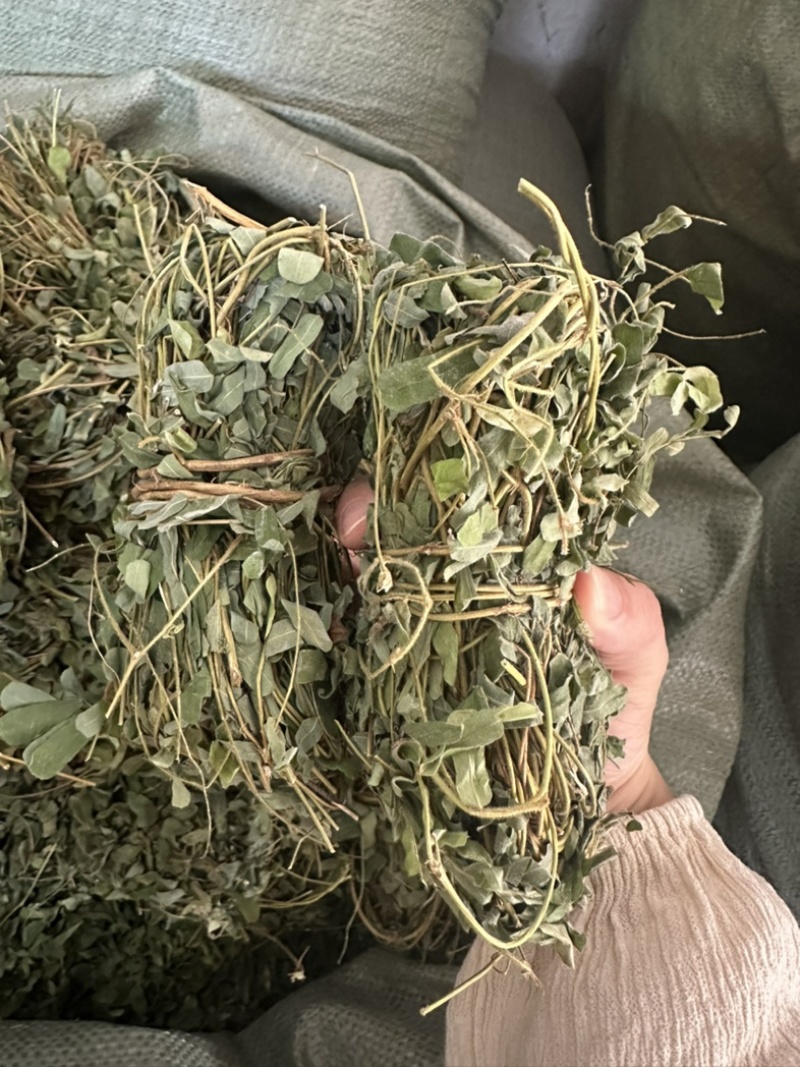 广西小叶鸡骨草，一手货源，产地直销，物美价廉，有大货