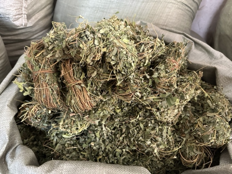 广西小叶鸡骨草，一手货源，产地直销，物美价廉，有大货