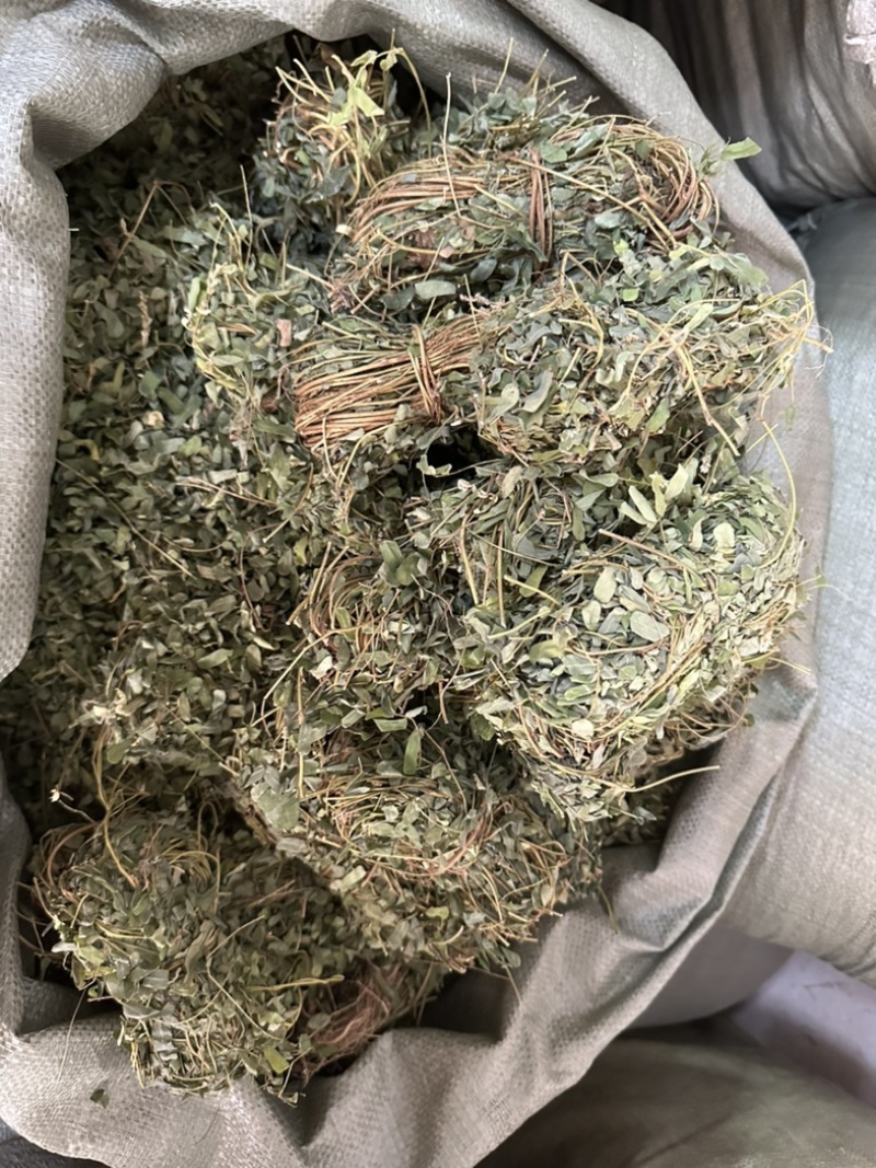 广西小叶鸡骨草，一手货源，产地直销，物美价廉，有大货