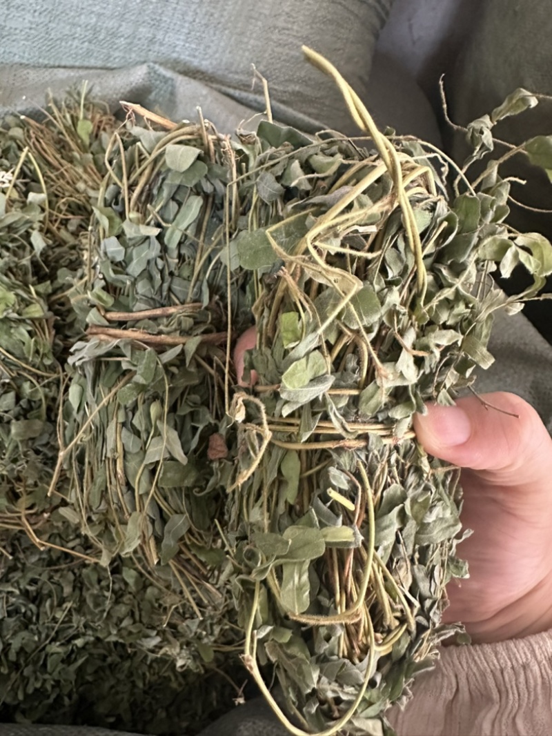广西小叶鸡骨草，一手货源，产地直销，物美价廉，有大货
