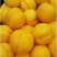 黄金油桃