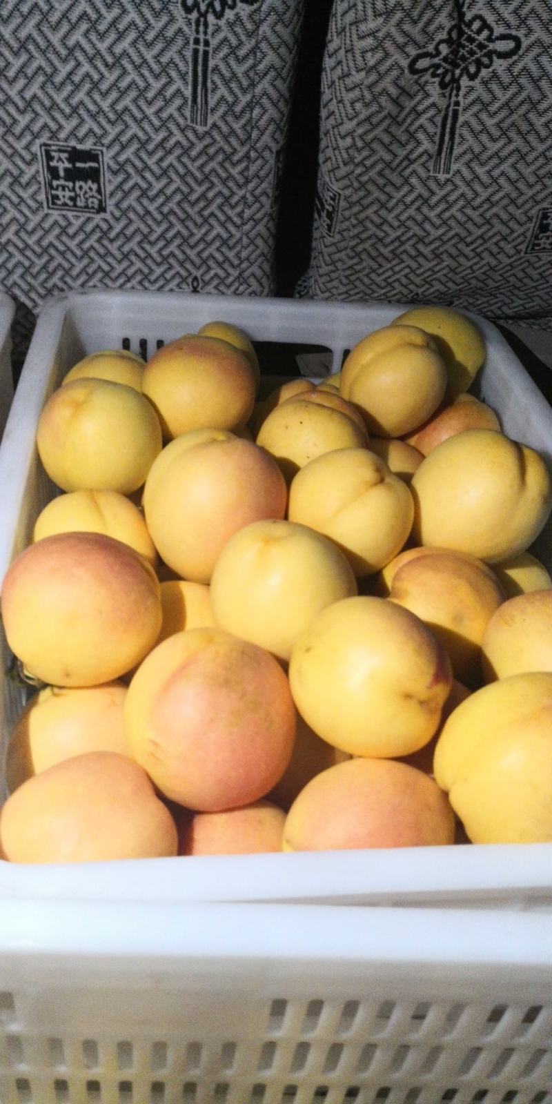 黄金油桃