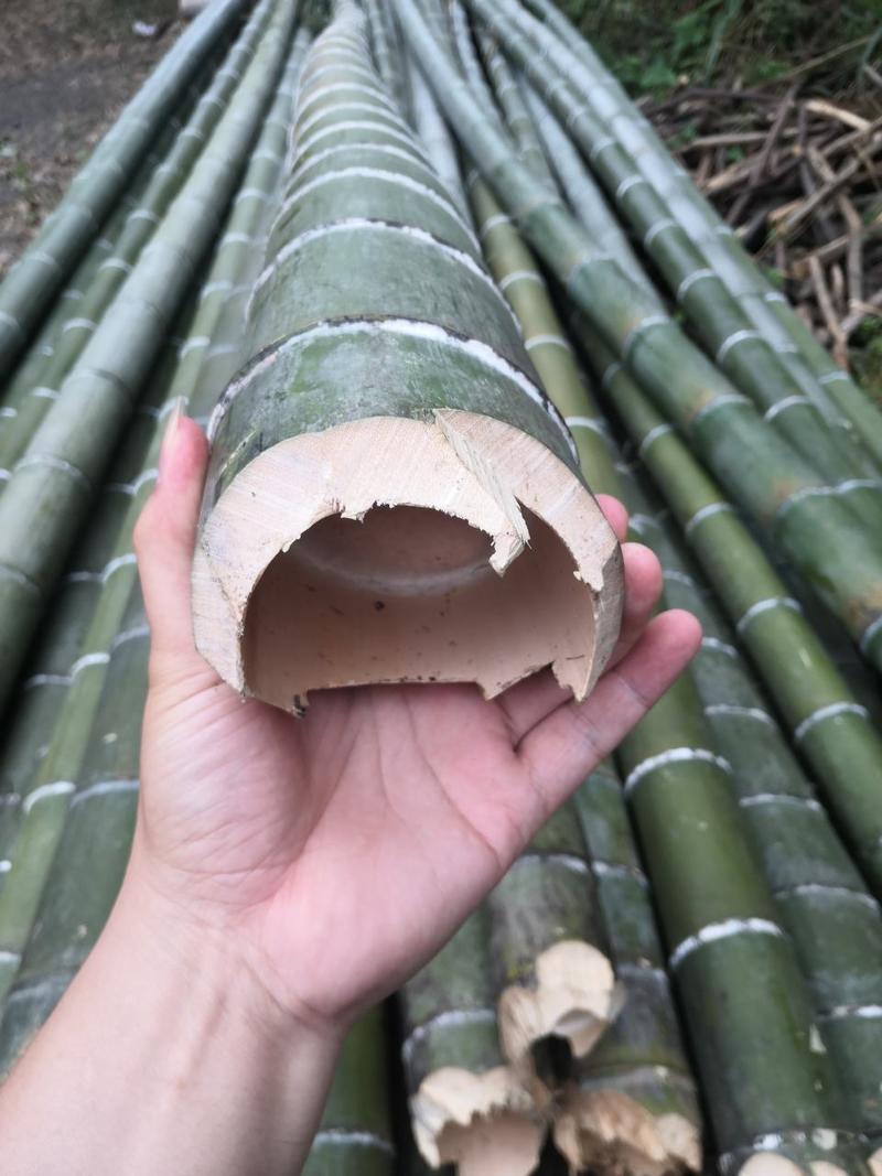 楠竹香蕉竹4.5米尾径4公分