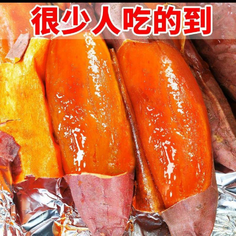 烟薯25