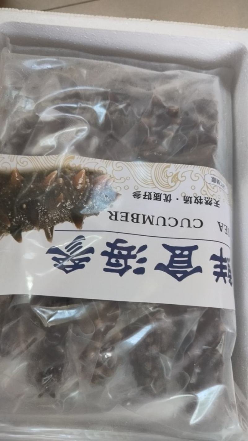 大连鲜食海参即食海参货源充足量大从优可供商超
