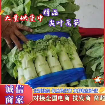 山东莴笋，三青莴笋，红尖叶莴笋，大量上市实力代办代发全国