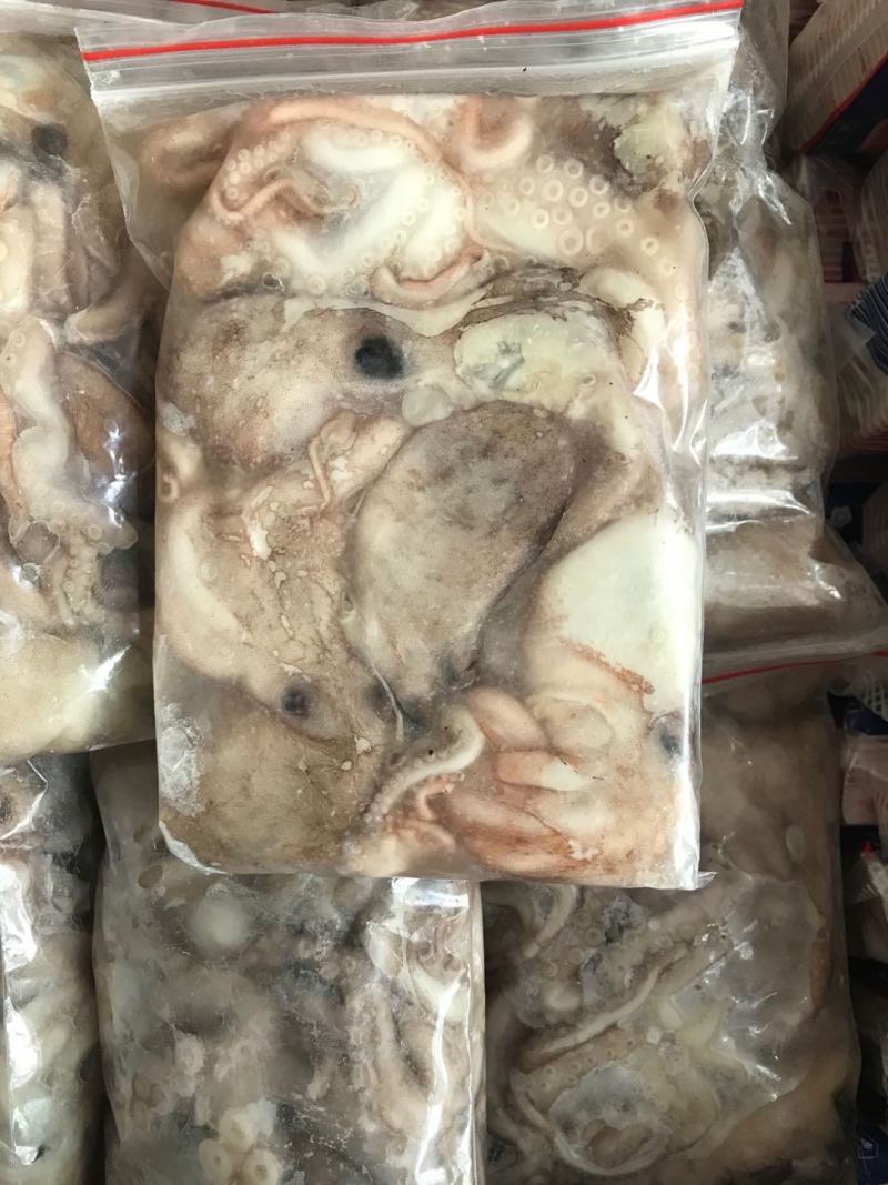 八爪鱼长腿八爪鱼章鱼