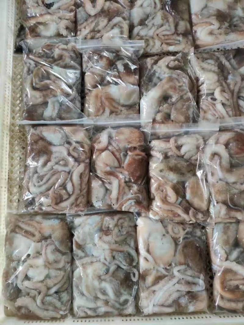 八爪鱼长腿八爪鱼章鱼