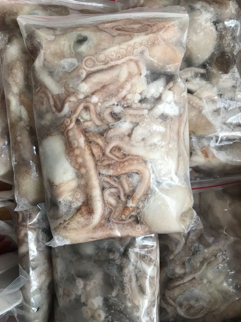 八爪鱼长腿八爪鱼章鱼