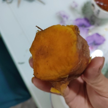 哈密红薯