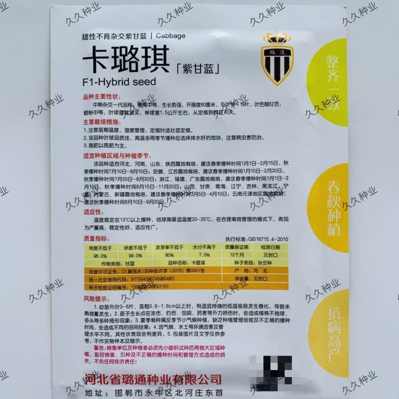 卡璐琪紫甘蓝种子中熟杂交圆球紧实紫甘蓝种子春秋季