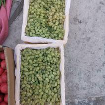 吐鲁番无核白葡萄