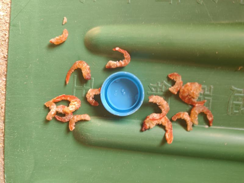 干虾仁，