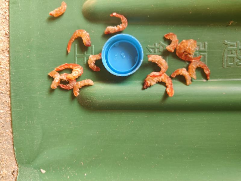 干虾仁，