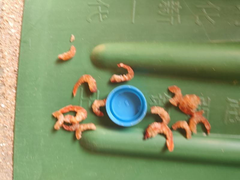 干虾仁，