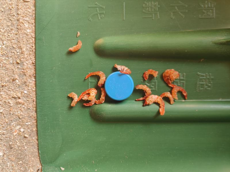 干虾仁，