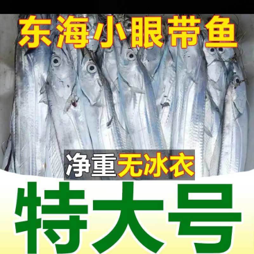 整条带鱼