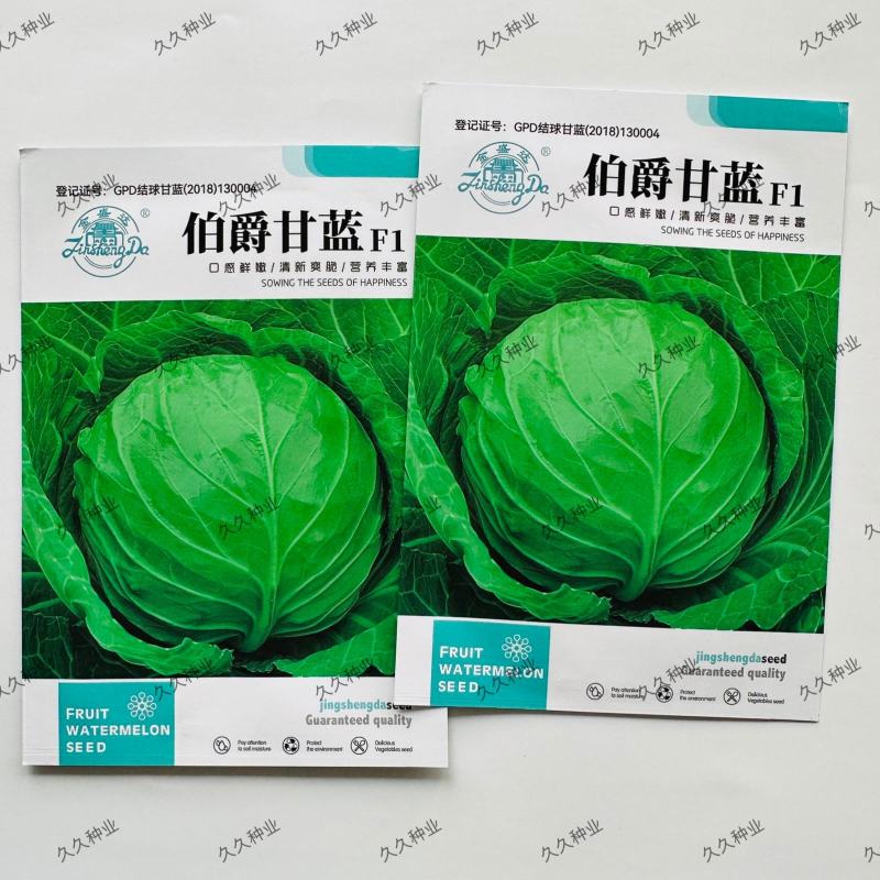 伯爵甘蓝种子正圆形甘蓝菜种籽抗病抗热高产绿色卷心菜包头菜
