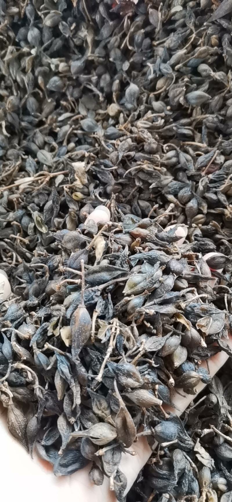 连翘对接各大电商，各大药材批发市场一件代发